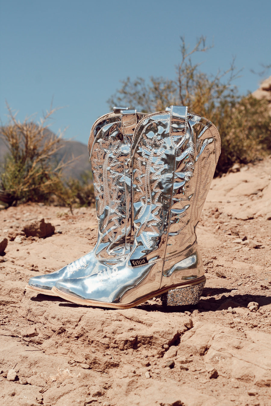 THE SILVER COWGIRL BOOT